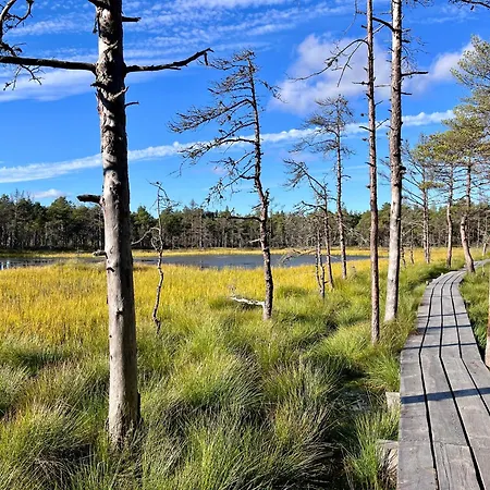 Gæstehus Kakupesa Puhkemaja Hara