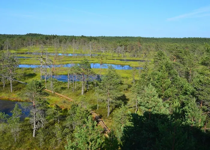 Guest house Kakupesa Puhkemaja