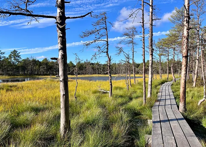 Guest house Kakupesa Puhkemaja Hara