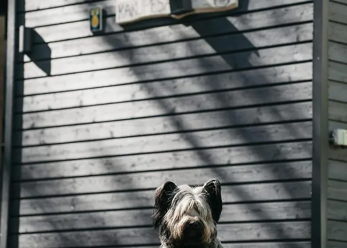 Kakupesa Puhkemaja Guest house Hara